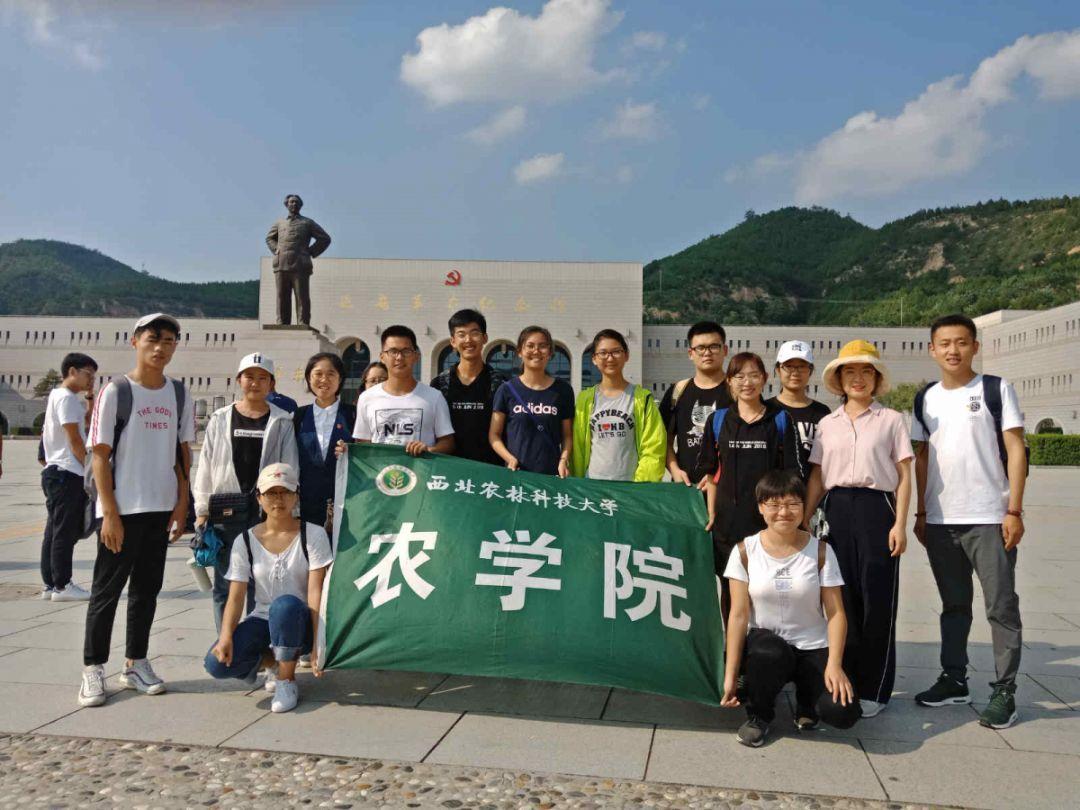 小艾比模仿秀